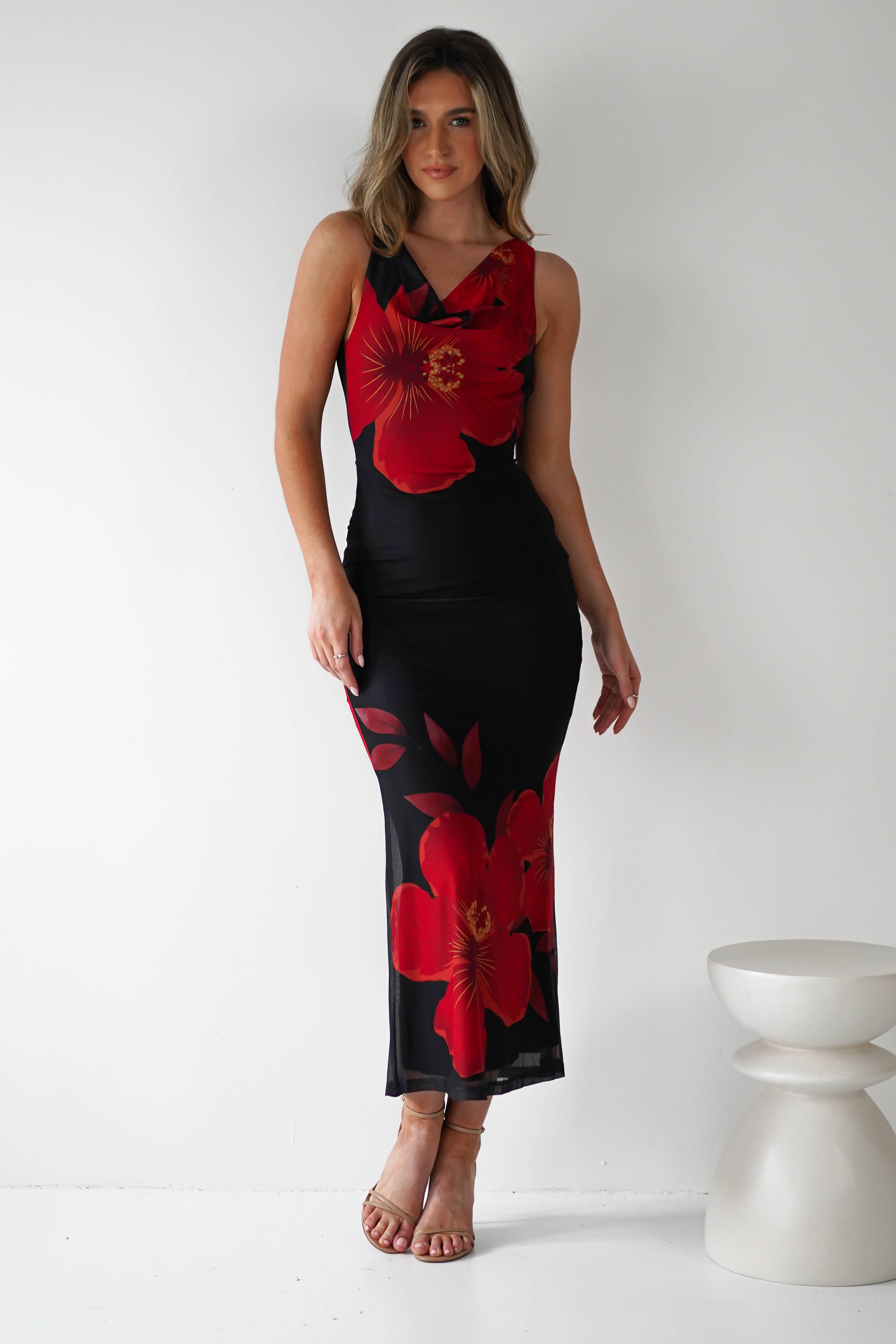 Meadow Mesh Maxi Dress | Black/Red | Oh Hello Clothing | XS (6)